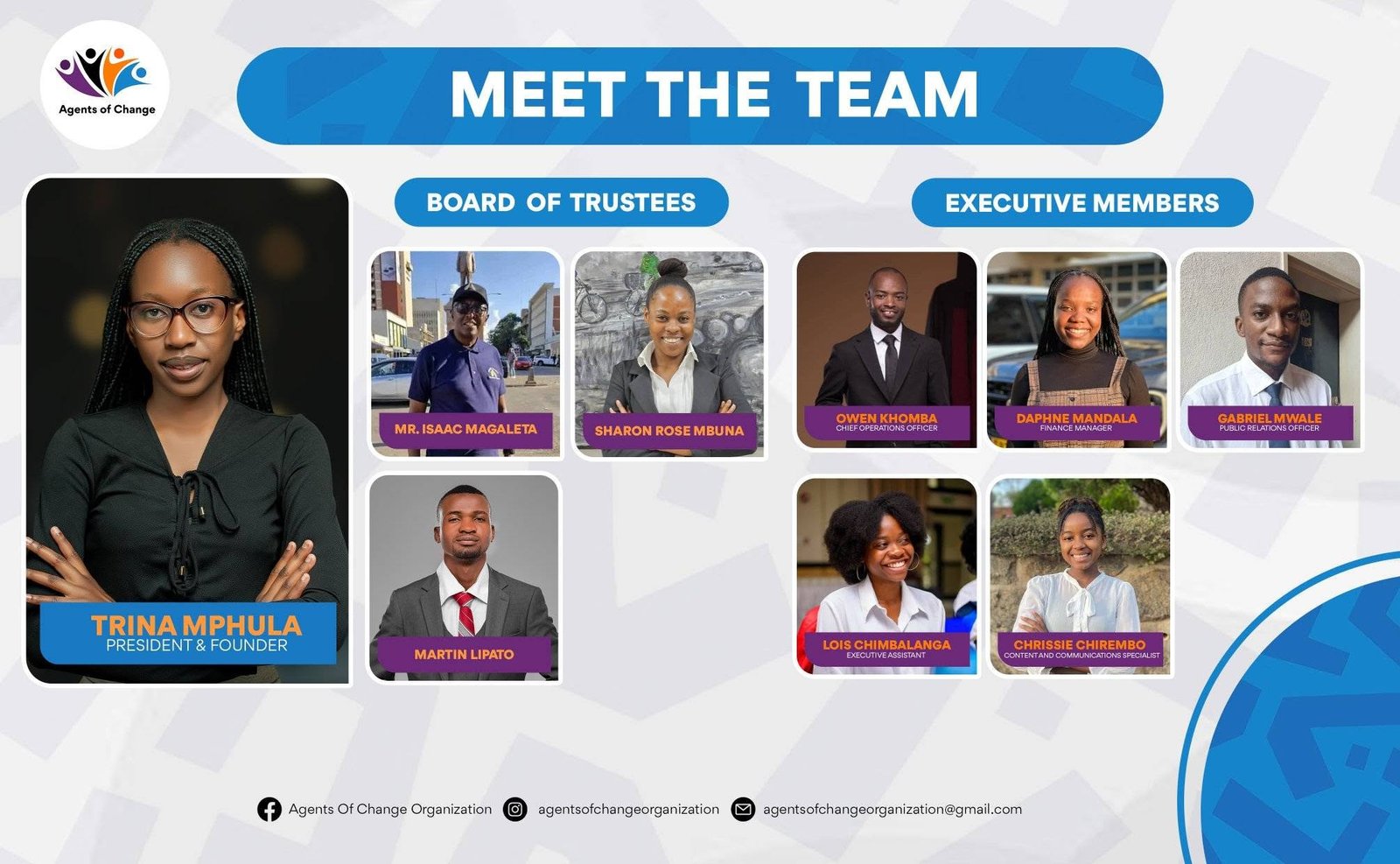 Meet the team!